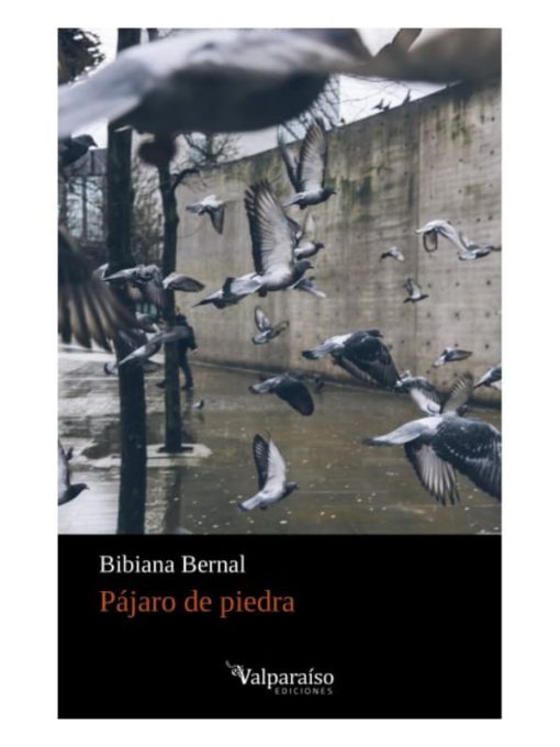 Imágen 1 del libro: Pájaro de piedra