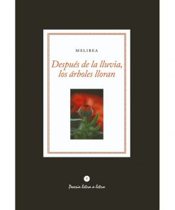 Imágen 1 del libro: Después de la lluvia los árboles lloran