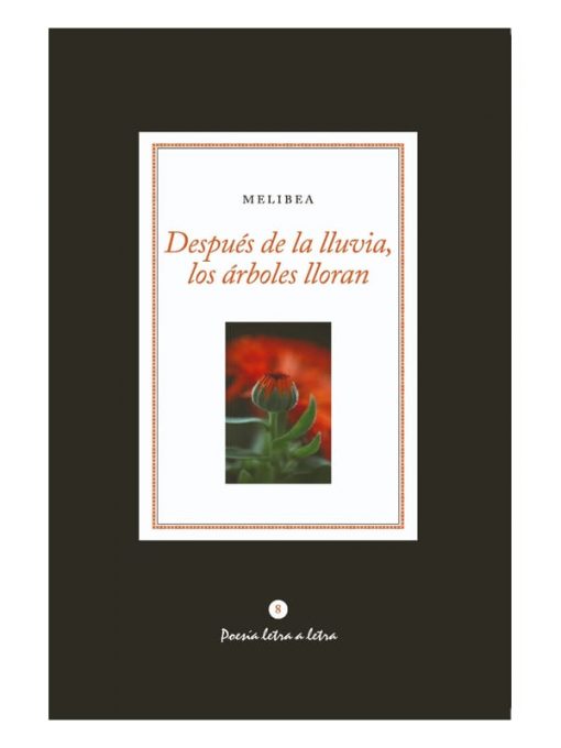 Imágen 1 del libro: Después de la lluvia los árboles lloran