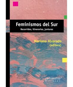 Imágen 1 del libro: Feminismos del sur