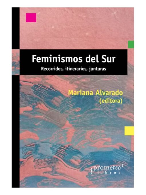 Imágen 1 del libro: Feminismos del sur