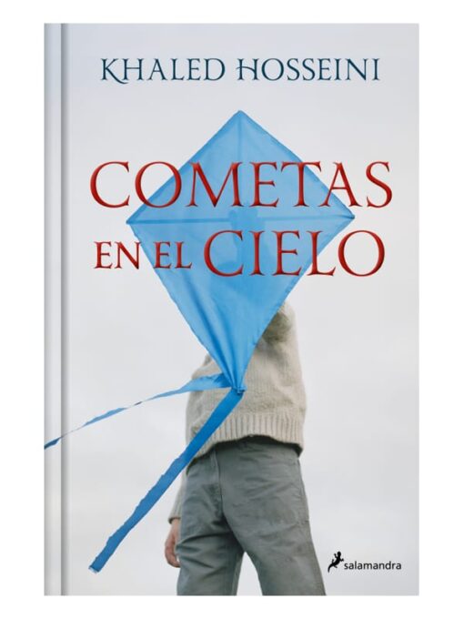 Imágen 1 del libro: Cometas en el cielo