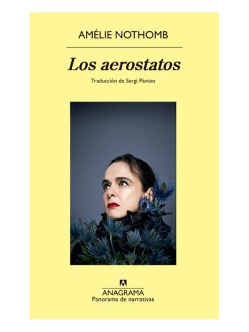 Imágen 1 del libro: Los aerostatos